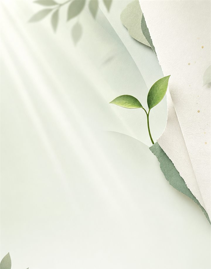 一张纸的裂缝里，钻出一株嫩芽